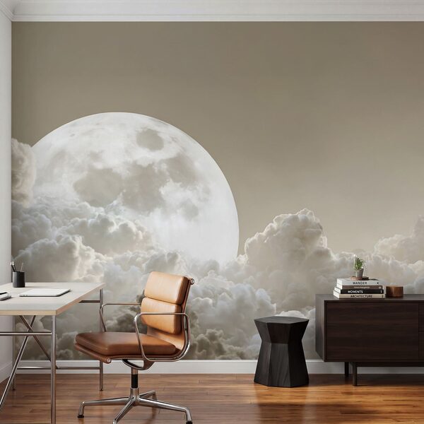 Full moon in the sky Full moon in the sky