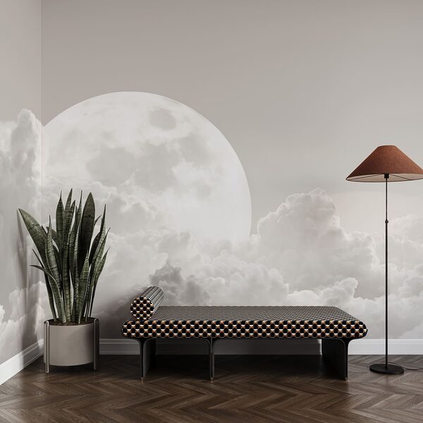 Full moon in the clouds Full moon in the clouds