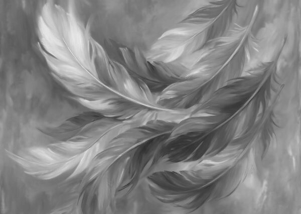 Group of feathers in black and white