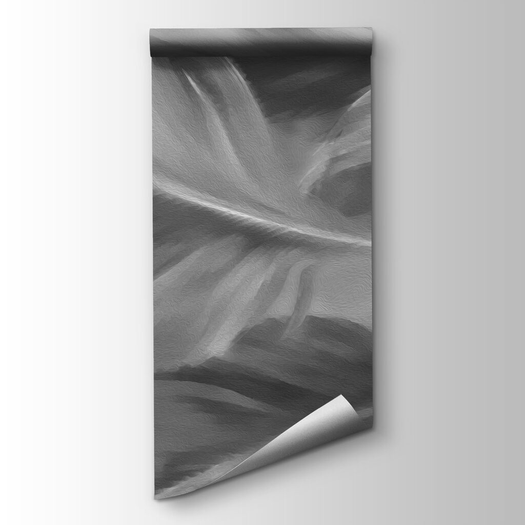 Group of feathers in black and white