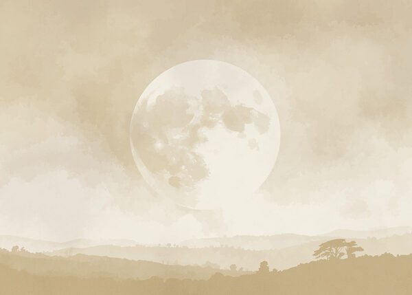 Moon in the sky Moon in the sky