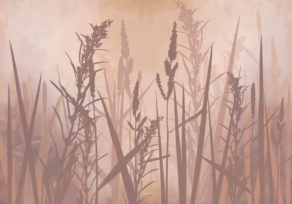 Tall grass with tall stems