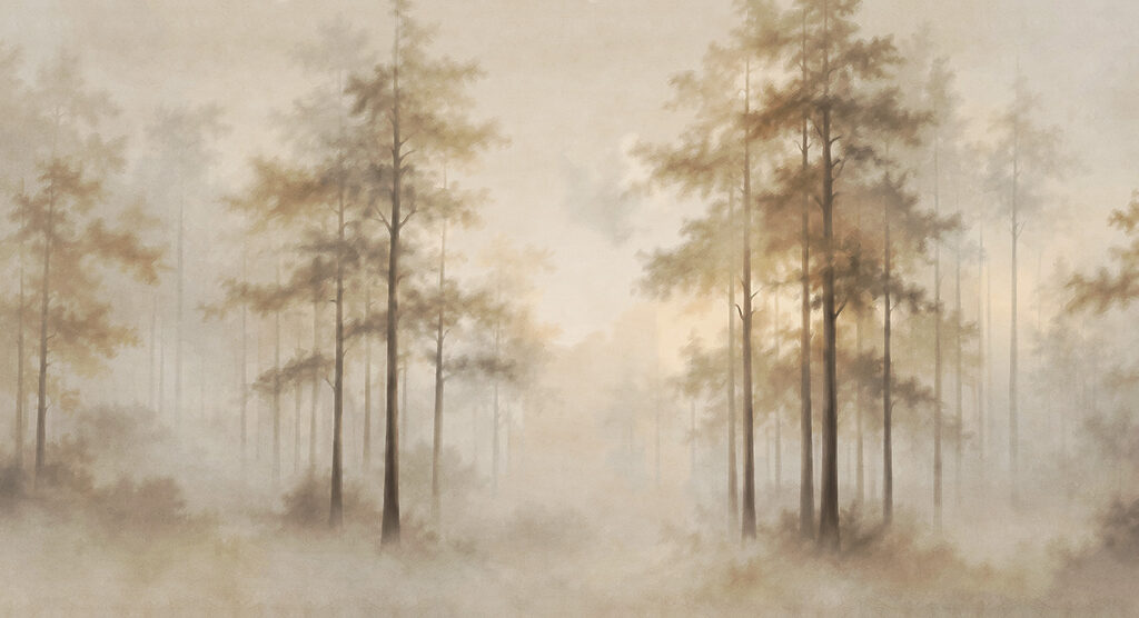 Foggy forest with trees Foggy forest with trees
