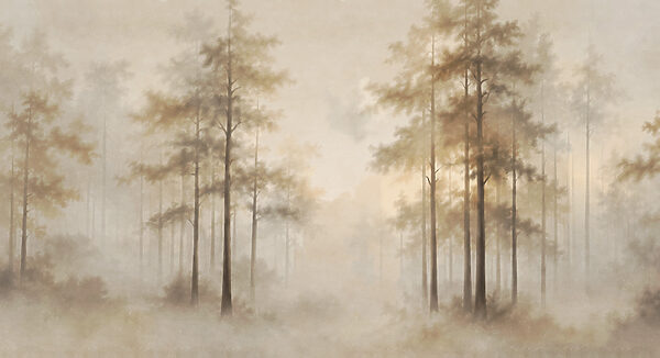 Foggy forest with trees Foggy forest with trees