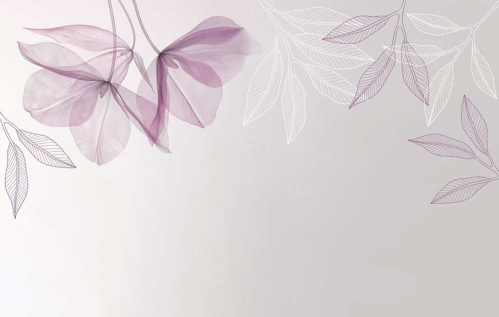 Delicate petals in soft hues Delicate petals in soft hues