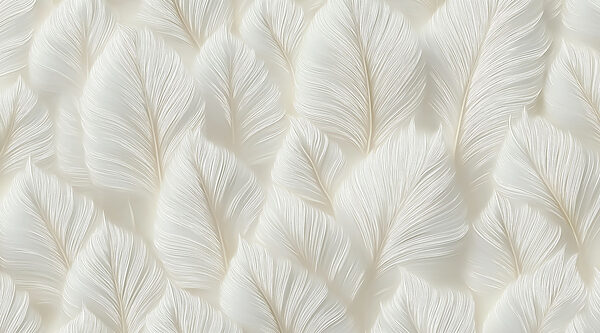 White feather pattern White feather pattern