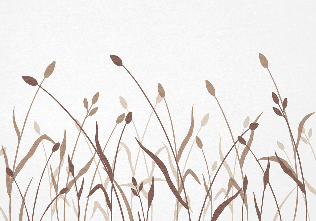 Soft hues of organic beauty