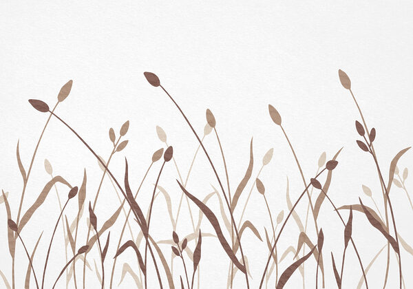 Soft hues of organic beauty
