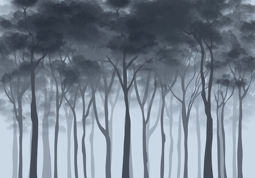 Group of trees in fog