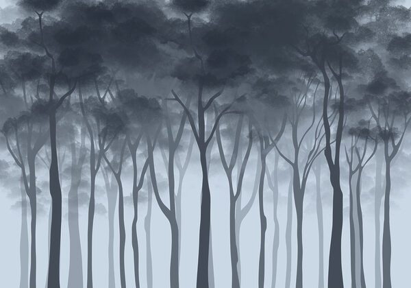 Group of trees in fog