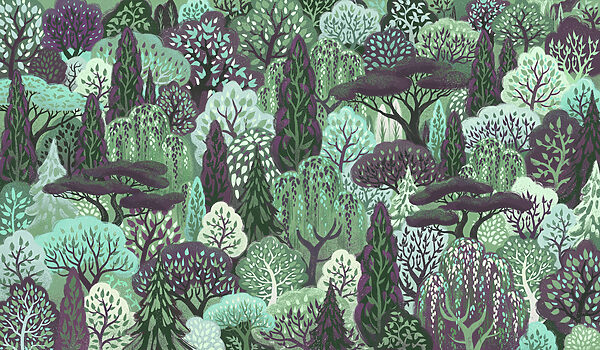 Wall mural Group of trees in a forest (SKU: t01033v5)