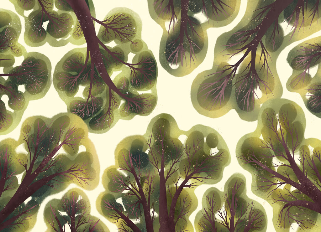 Wall mural Group of trees with green leaves (SKU: t01164) Wall mural Group of trees with green leaves (SKU: t01164)